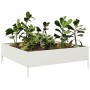 Arriate de acero blanco 100x100x33,5 cm de , Maceteros y jardineras - Ref: Foro24-851025, Precio: 54,01 €, Descuento: %
