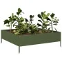 Arriate de acero verde oliva 100x100x33,5 cm de , Maceteros y jardineras - Ref: Foro24-851027, Precio: 48,59 €, Descuento: %