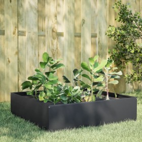 Arriate de acero gris antracita 100x100x25 cm de , Maceteros y jardineras - Ref: Foro24-851033, Precio: 52,02 €, Descuento: %