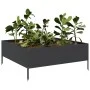 Arriate de acero negro 100x100x25 cm de , Maceteros y jardineras - Ref: Foro24-851031, Precio: 52,99 €, Descuento: %
