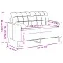 Sofá de 2 plazas con cojines terciopelo rosa 120 cm de , Sofás - Ref: Foro24-3278212, Precio: 251,37 €, Descuento: %