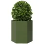 Jardineras hexagonales 2 uds acero verde oliva 46x40x45 cm de , Maceteros y jardineras - Ref: Foro24-851115, Precio: 69,95 €,...