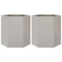 Jardinera hexagonal 2 uds acero inoxidable 46x40x45 cm de , Maceteros y jardineras - Ref: Foro24-851117, Precio: 85,34 €, Des...