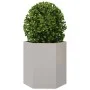 Jardinera hexagonal 2 uds acero inoxidable 46x40x45 cm de , Maceteros y jardineras - Ref: Foro24-851117, Precio: 97,63 €, Des...