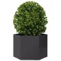Black steel hexagonal planter 69x60x45 cm by , Pots and planters - Ref: Foro24-851122, Price: 64,46 €, Discount: %