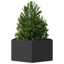 Jardinera hexagonal acero negra 104x90x45 cm de , Maceteros y jardineras - Ref: Foro24-851129, Precio: 81,84 €, Descuento: %