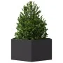 Jardinera hexagonal acero negra 104x90x45 cm de , Maceteros y jardineras - Ref: Foro24-851129, Precio: 76,67 €, Descuento: %