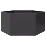 Jardinera hexagonal acero negra 104x90x45 cm de , Maceteros y jardineras - Ref: Foro24-851129, Precio: 81,84 €, Descuento: %