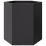 Jardinera hexagonal acero negra 46x40x45 cm de , Maceteros y jardineras - Ref: Foro24-851108, Precio: 50,71 €, Descuento: %