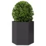 Jardinera hexagonal acero negra 46x40x45 cm de , Maceteros y jardineras - Ref: Foro24-851108, Precio: 48,07 €, Descuento: %