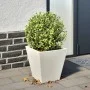 Jardinera hexagonal acero blanca 30x30x30 cm de , Maceteros y jardineras - Ref: Foro24-851040, Precio: 32,32 €, Descuento: %