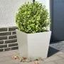 Jardineras 2 unidades acero inoxidable 40x40x40 cm de , Maceteros y jardineras - Ref: Foro24-851061, Precio: 95,06 €, Descuen...
