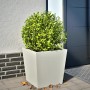 Jardinera de acero blanca 50x50x50 cm de , Maceteros y jardineras - Ref: Foro24-851068, Precio: 53,08 €, Descuento: %