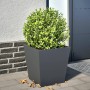 Jardinera de acero gris antracita 40x40x40 cm de , Maceteros y jardineras - Ref: Foro24-851056, Precio: 41,20 €, Descuento: %