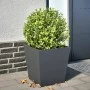 Jardinera de acero gris antracita 40x40x40 cm de , Maceteros y jardineras - Ref: Foro24-851056, Precio: 43,48 €, Descuento: %