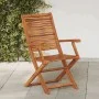 Sillas plegables jardín y reposabrazo 2uds madera maciza acacia de , Sillas de jardín - Ref: Foro24-367698, Precio: 137,47 €,...