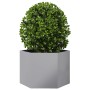 Jardinera hexagonal acero galvanizado 69x60x45 cm de , Maceteros y jardineras - Ref: Foro24-851127, Precio: 64,35 €, Descuent...