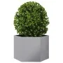 Jardinera hexagonal acero galvanizado 69x60x45 cm de , Maceteros y jardineras - Ref: Foro24-851127, Precio: 63,13 €, Descuent...