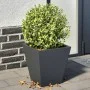 Jardineras 2 unidades acero gris antracita 30x30x30 cm de , Maceteros y jardineras - Ref: Foro24-851043, Precio: 48,80 €, Des...