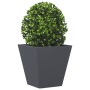 Jardineras 2 unidades acero gris antracita 30x30x30 cm de , Maceteros y jardineras - Ref: Foro24-851043, Precio: 43,41 €, Des...
