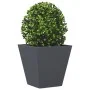 Jardineras 2 unidades acero gris antracita 30x30x30 cm de , Maceteros y jardineras - Ref: Foro24-851043, Precio: 48,80 €, Des...