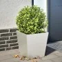 Jardinera de acero inoxidable 40x40x40 cm de , Maceteros y jardineras - Ref: Foro24-851060, Precio: 57,66 €, Descuento: %