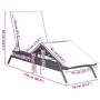 Tumbona con cojín ratán sintético gris claro de , Tumbonas - Ref: Foro24-4002706, Precio: 146,97 €, Descuento: %