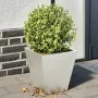 Jardineras 2 unidades acero inoxidable 30x30x30 cm de , Maceteros y jardineras - Ref: Foro24-851047, Precio: 64,92 €, Descuen...