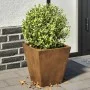 Jardineras 2 unidades acero oxidado 30x30x30 cm de , Maceteros y jardineras - Ref: Foro24-851051, Precio: 45,98 €, Descuento: %