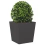 Jardinera de acero negra 50x50x50 cm de , Maceteros y jardineras - Ref: Foro24-851066, Precio: 66,22 €, Descuento: %