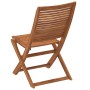 Sillas de jardín plegables 2 unidades madera maciza de acacia de , Sillas de jardín - Ref: Foro24-367696, Precio: 122,20 €, D...