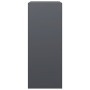 Leñero de acero gris antracita 60x40x100 cm de , Bolsas y soportes de leña - Ref: Foro24-850991, Precio: 98,02 €, Descuento: %