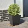 Jardinera hexagonal acero negra 30x30x30 cm de , Maceteros y jardineras - Ref: Foro24-851038, Precio: 31,19 €, Descuento: %