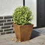 Jardinera hexagonal de acero oxidado 30x30x30 cm de , Maceteros y jardineras - Ref: Foro24-851050, Precio: 31,76 €, Descuento: %