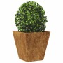 Jardinera hexagonal de acero oxidado 30x30x30 cm de , Maceteros y jardineras - Ref: Foro24-851050, Precio: 30,37 €, Descuento: %