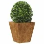 Jardinera hexagonal de acero oxidado 30x30x30 cm de , Maceteros y jardineras - Ref: Foro24-851050, Precio: 31,76 €, Descuento: %