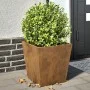 Jardineras 2 unidades acero oxidado 40x40x40 cm de , Maceteros y jardineras - Ref: Foro24-851065, Precio: 61,42 €, Descuento: %