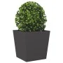 Jardineras 2 uds acero negro 50x50x50 cm de , Maceteros y jardineras - Ref: Foro24-851067, Precio: 93,33 €, Descuento: %