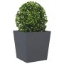 Jardineras 2 uds acero gris antracita 50x50x50 cm de , Maceteros y jardineras - Ref: Foro24-851071, Precio: 110,92 €, Descuen...