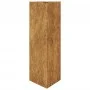 Jardinera triangular de acero oxidado 30x26x75 cm de , Maceteros y jardineras - Ref: Foro24-851155, Precio: 56,07 €, Descuent...