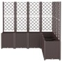 Jardinera con enrejado PP marrón 160x160x140 cm de , Maceteros y jardineras - Ref: Foro24-367885, Precio: 321,64 €, Descuento: %