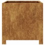 Jardineras 2 unidades acero oxidado 40x40x40 cm de , Maceteros y jardineras - Ref: Foro24-851212, Precio: 105,58 €, Descuento: %