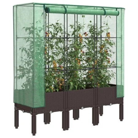 Arriate con cubierta invernadero aspecto ratán 120x40x140 cm de , Maceteros y jardineras - Ref: Foro24-4015806, Precio: 94,05...