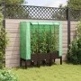 Arriate con cubierta invernadero aspecto ratán 120x40x140 cm de , Maceteros y jardineras - Ref: Foro24-4015806, Precio: 94,05...