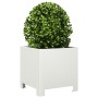 Jardinera hexagonal acero blanca 30x30x30 cm de , Maceteros y jardineras - Ref: Foro24-851187, Precio: 38,78 €, Descuento: %