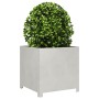 Jardinera de acero inoxidable 50x50x50 cm de , Maceteros y jardineras - Ref: Foro24-851217, Precio: 94,76 €, Descuento: %