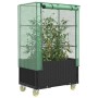 Arriate con cubierta invernadero aspecto ratán 80x50x182 cm de , Maceteros y jardineras - Ref: Foro24-4015822, Precio: 147,95...
