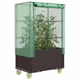 Raised bed with greenhouse cover in rattan look 80x50x182 cm by , Pots and planters - Ref: Foro24-4015808, Price: 144,60 €, D...