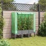 Arriate con cubierta invernadero aspecto ratán 120x40x140 cm de , Maceteros y jardineras - Ref: Foro24-4015862, Precio: 107,5...