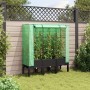 Arriate con cubierta invernadero aspecto ratán 120x40x140 cm de , Maceteros y jardineras - Ref: Foro24-4015820, Precio: 107,5...